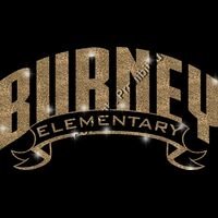 GLT37 GOLD GLITTER Thumbnail